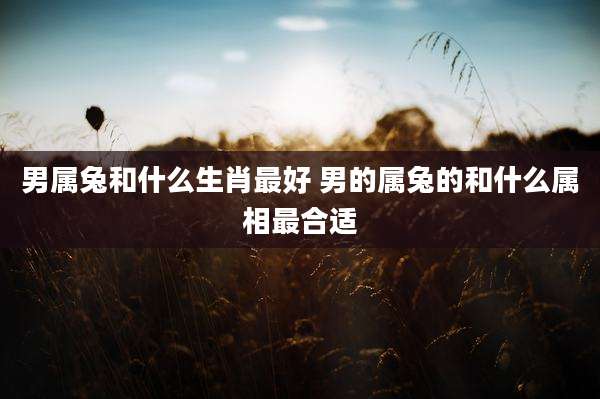 男属兔和什么生肖最好 男的属兔的和什么属相最合适