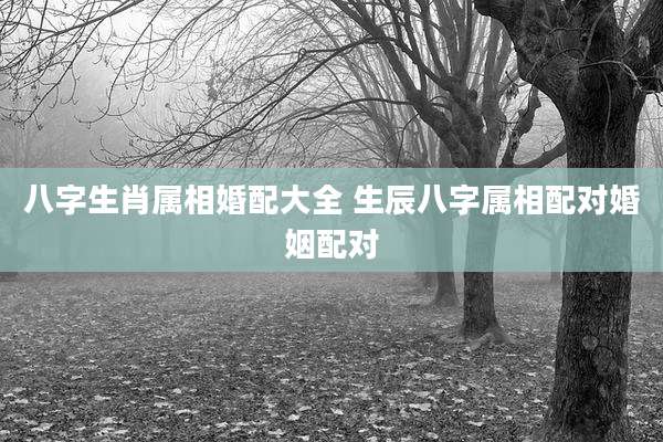 八字生肖属相婚配大全 生辰八字属相配对婚姻配对