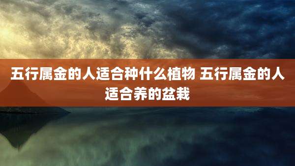 五行属金的人适合种什么植物 五行属金的人适合养的盆栽
