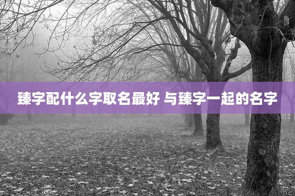臻字配什么字取名最好 与臻字一起的名字