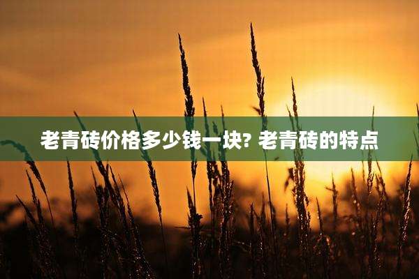 老青砖价格多少钱一块? 老青砖的特点
