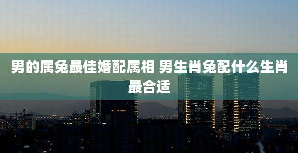 男的属兔最佳婚配属相 男生肖兔配什么生肖最合适