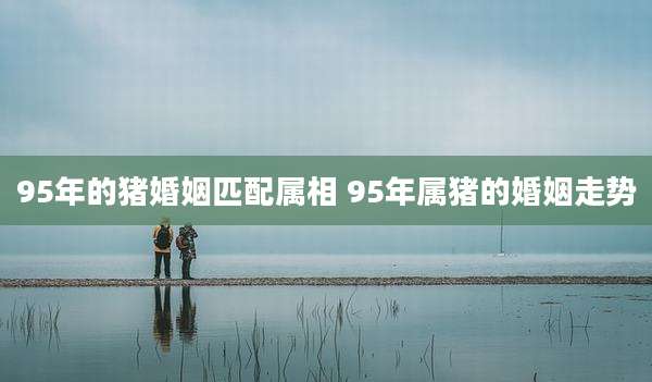 95年的猪婚姻匹配属相 95年属猪的婚姻走势