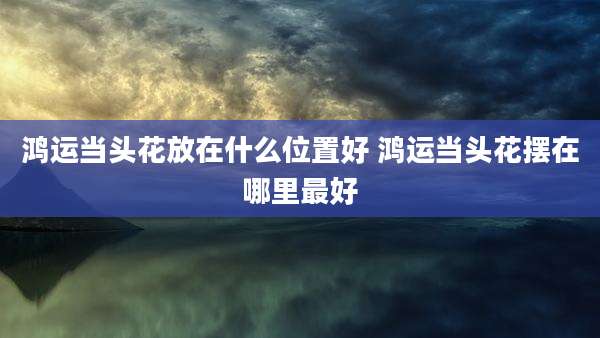 鸿运当头花放在什么位置好 鸿运当头花摆在哪里最好