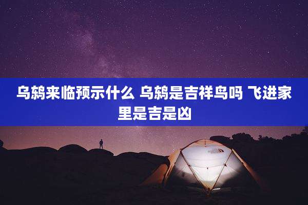 乌鸫来临预示什么 乌鸫是吉祥鸟吗 飞进家里是吉是凶