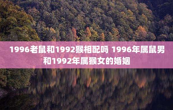 1996老鼠和1992猴相配吗 1996年属鼠男和1992年属猴女的婚姻