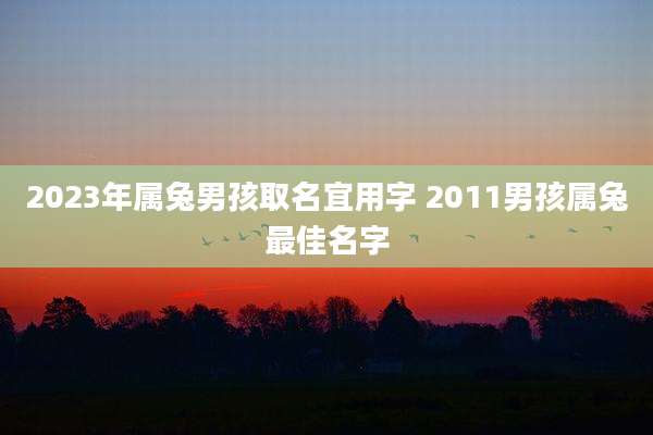 2023年属兔男孩取名宜用字 2011男孩属兔最佳名字