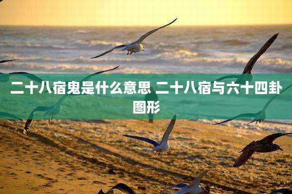 二十八宿鬼是什么意思 二十八宿与六十四卦图形