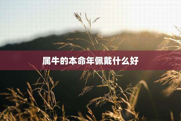 属牛的本命年佩戴什么好