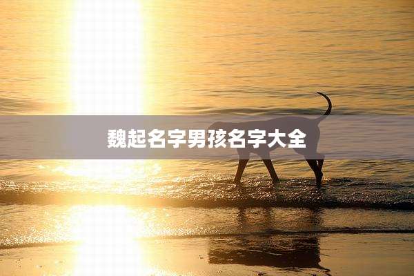 魏起名字男孩名字大全
