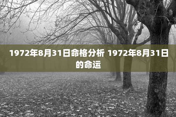 1972年8月31日命格分析 1972年8月31日的命运