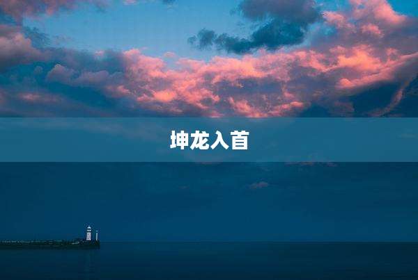 坤龙入首