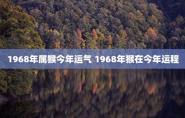 1968年属猴今年运气 1968年猴在今年运程