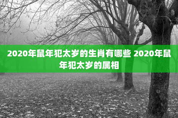 2020年鼠年犯太岁的生肖有哪些 2020年鼠年犯太岁的属相