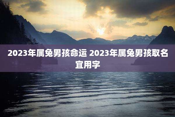 2023年属兔男孩命运 2023年属兔男孩取名宜用字