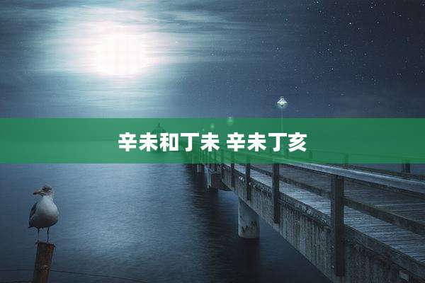 辛未和丁未 辛未丁亥
