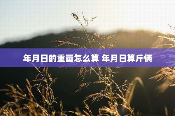 年月日的重量怎么算 年月日算斤俩
