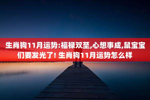 生肖狗11月运势:福禄双至,心想事成,鼠宝宝们要发光了! 生肖狗11月运势怎么样