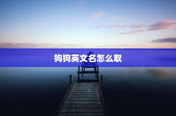 狗狗英文名怎么取