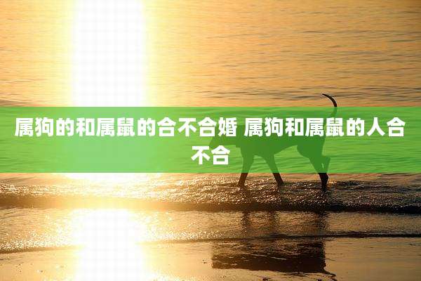 属狗的和属鼠的合不合婚 属狗和属鼠的人合不合