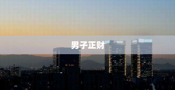 男子正财
