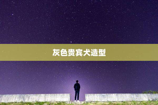 灰色贵宾犬造型