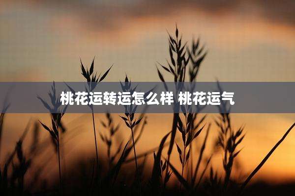 桃花运转运怎么样 桃花运气