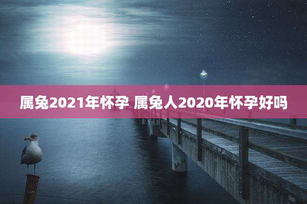 属兔2021年怀孕 属兔人2020年怀孕好吗