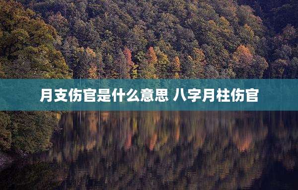 月支伤官是什么意思 八字月柱伤官
