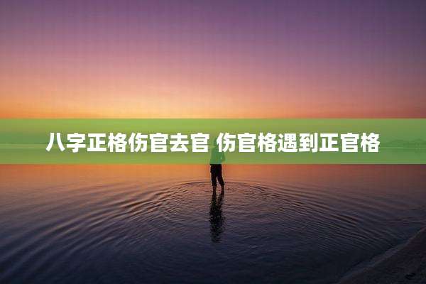 八字正格伤官去官 伤官格遇到正官格