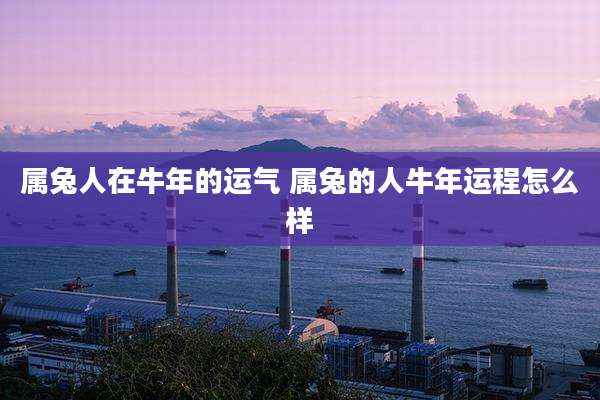 属兔人在牛年的运气 属兔的人牛年运程怎么样