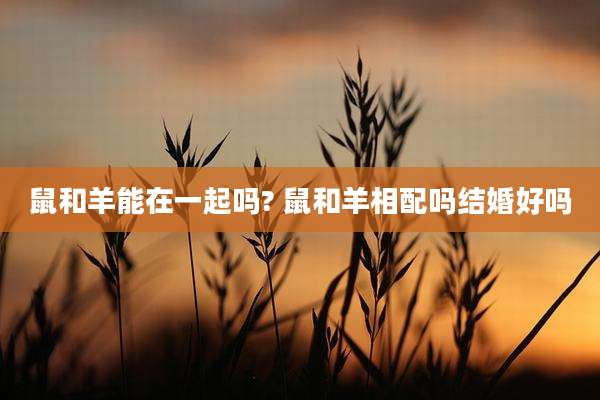 鼠和羊能在一起吗? 鼠和羊相配吗结婚好吗