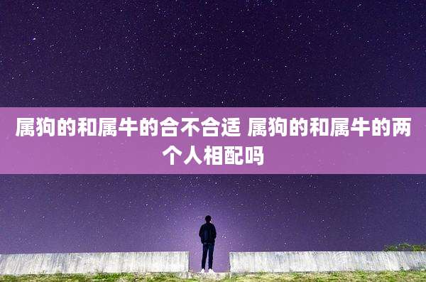 属狗的和属牛的合不合适 属狗的和属牛的两个人相配吗