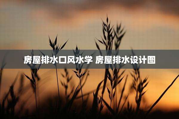 房屋排水口风水学 房屋排水设计图