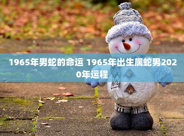 1965年男蛇的命运 1965年出生属蛇男2020年运程