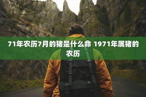71年农历7月的猪是什么命 1971年属猪的农历
