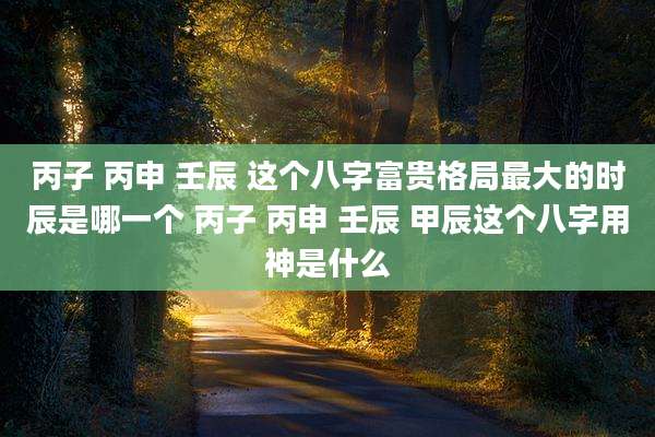丙子 丙申 壬辰 这个八字富贵格局最大的时辰是哪一个 丙子 丙申 壬辰 甲辰这个八字用神是什么