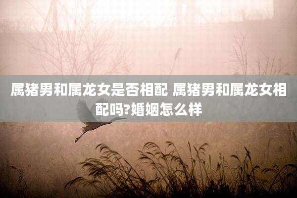 属猪男和属龙女是否相配 属猪男和属龙女相配吗?婚姻怎么样