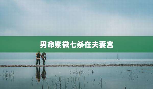 男命紫微七杀在夫妻宫