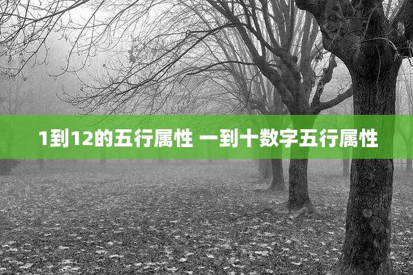 1到12的五行属性 一到十数字五行属性