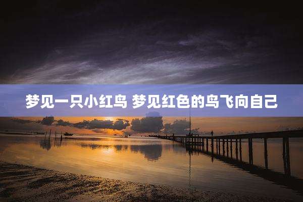 梦见一只小红鸟 梦见红色的鸟飞向自己