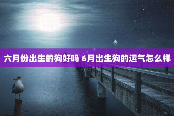 六月份出生的狗好吗 6月出生狗的运气怎么样