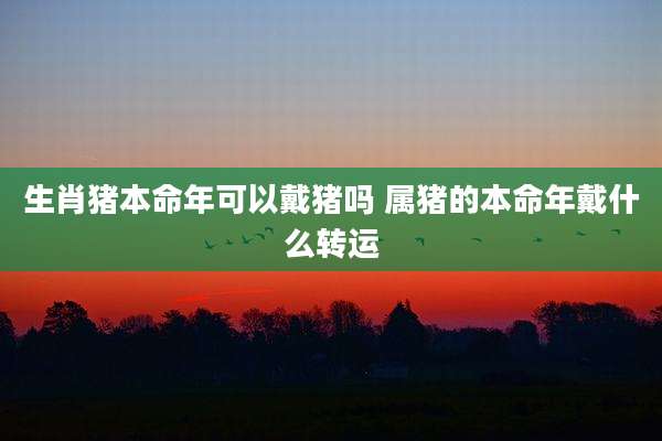 生肖猪本命年可以戴猪吗 属猪的本命年戴什么转运