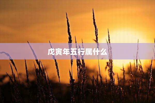 戊寅年五行属什么