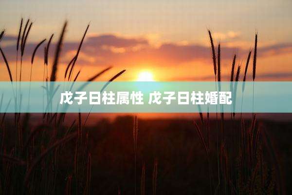 戊子日柱属性 戊子日柱婚配