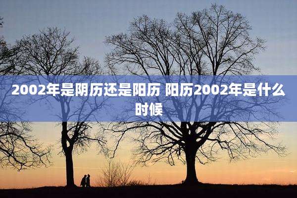 2002年是阴历还是阳历 阳历2002年是什么时候