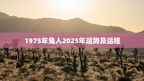 1975年兔人2025年运势及运程