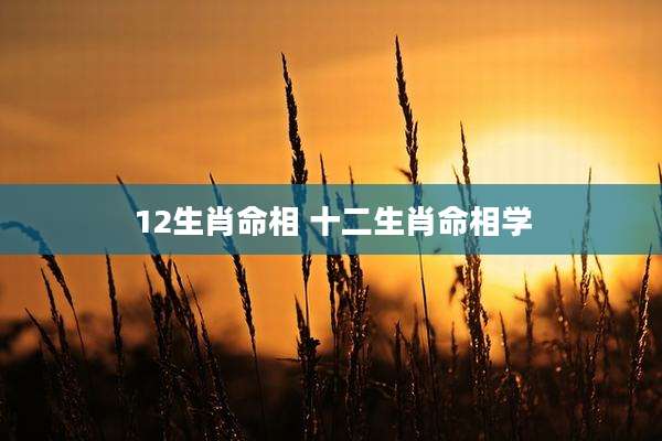 12生肖命相 十二生肖命相学