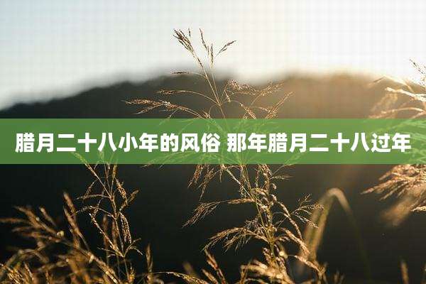 腊月二十八小年的风俗 那年腊月二十八过年