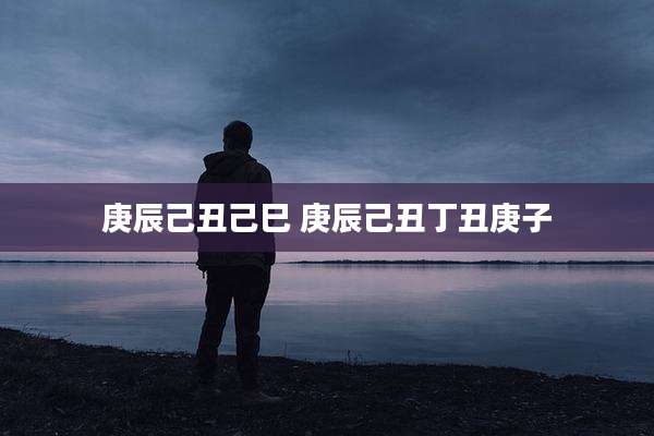 庚辰己丑己巳 庚辰己丑丁丑庚子